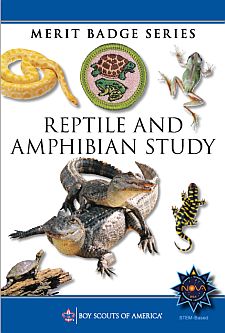 Reptile and Amphibian Study Merit Badge Pamphlet